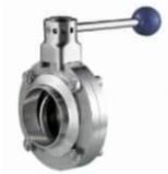 Butterfly Valve Welded