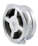 Disk Check Valve