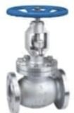Globe Valve